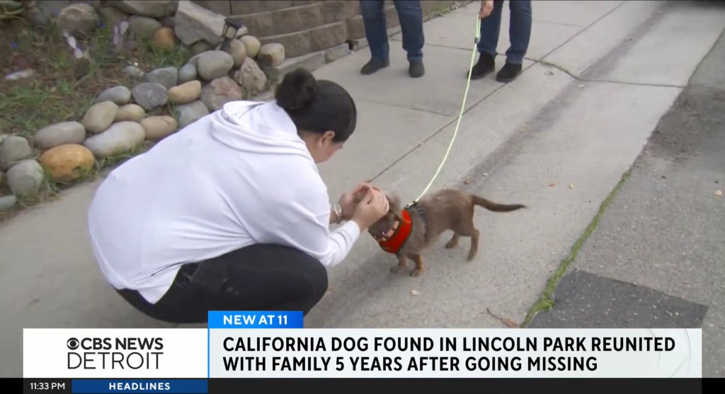 Woman reunites with her dog five years after it went missing, as reported by CBS News Detroit.